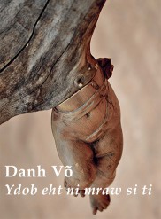 Lade: Danh Võ<br>Ydob eht ni mraw si ti