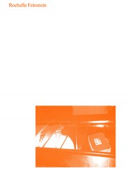 Lade: Rochelle Feinstein.<br>I Made a Terrible Mistake